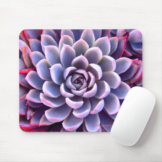 PInk & Paars Succulent Mousepad Muismat (Met muis)
