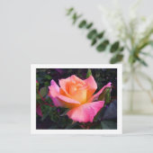 Pink Peach and Yellow Rose postcard Briefkaart (Staand voorkant)