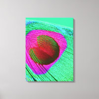 Pink Peacock Feather