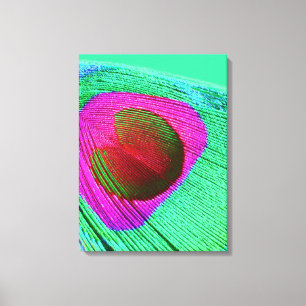 Pink Peacock Feather Canvas Afdruk