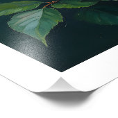 Pink Peonies Artwork on Emerald Green Foto Afdruk (Hoek)