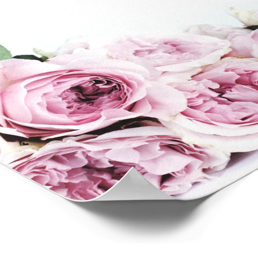 PINK PEONIES FOTOGRAPH POSTER (Hoek)