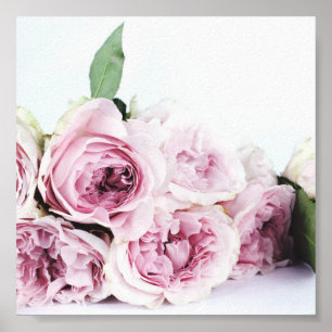 PINK PEONIES FOTOGRAPH POSTER