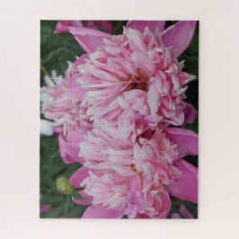 Pink Peonies Legpuzzel