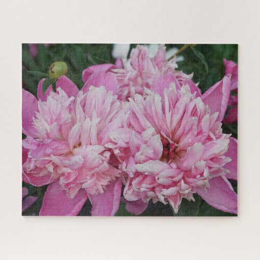 Pink Peonies Legpuzzel (Horizontaal)