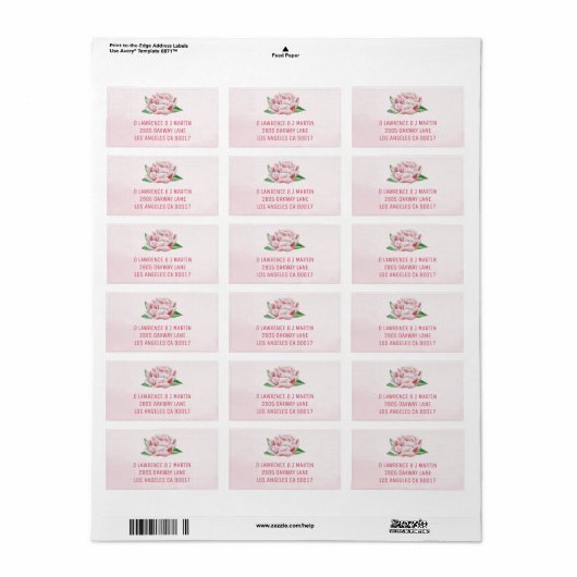 Pink Peony Adresetiketten Etiket (Full Sheet)