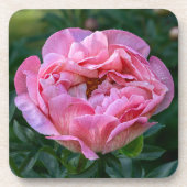 Pink Peony Bier Onderzetter (Voorkant)