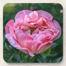 Pink Peony Bier Onderzetter