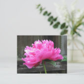 Pink Peony Bloom Briefkaart (Staand voorkant)