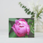 Pink Peony Bloom Briefkaart (Staand voorkant)