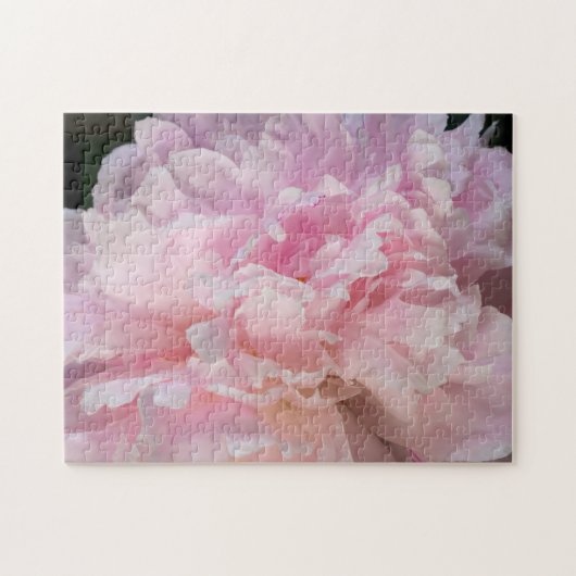 Pink Peony Blossom Legpuzzel (Horizontaal)