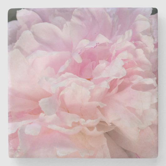 Pink Peony Blossom Stenen Onderzetter (Voorkant)