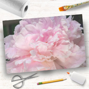 Pink Peony Blossom Tissuepapier