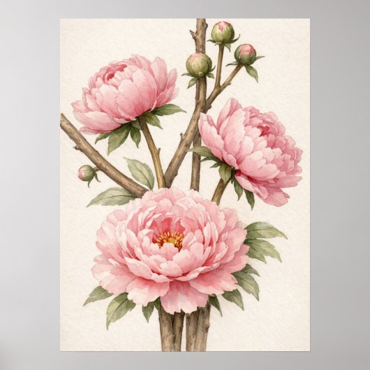 Pink Peony Botanical Poster (Voorkant)