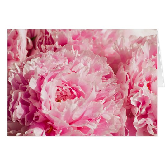 Pink Peony Bouquet (Voorkant Horizontaal)