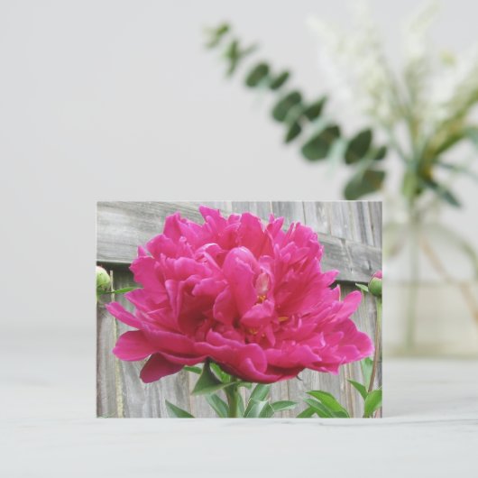 Pink Peony Briefkaart (Staand voorkant)