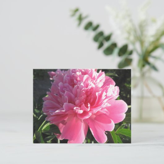 Pink Peony Briefkaart (Staand voorkant)