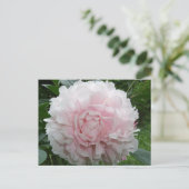 Pink Peony Briefkaart (Staand voorkant)
