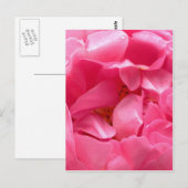 Pink Peony Briefkaart (Voorkant / Achterkant)