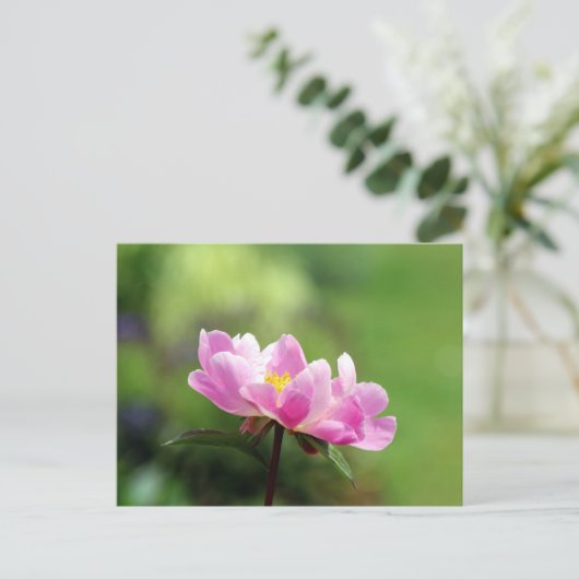 Pink Peony Briefkaart (Staand voorkant)