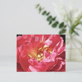 Pink Peony, Briefkaart (Staand voorkant)