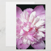 Pink Peony Briefpapier (Voorkant / Achterkant)