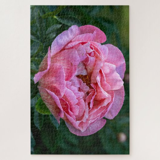 Pink Peony, Canadese Floral Photography Legpuzzel (Verticaal)