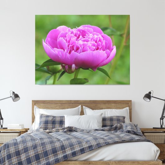 Pink Peony Canvas Afdruk (Insitu (Slaapkamer))