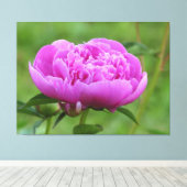 Pink Peony Canvas Afdruk (Insitu (Houten vloer))