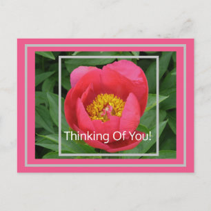 PINK PEONY/DENKING VAN U BRIEFKAART