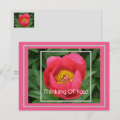 PINK PEONY/DENKING VAN U BRIEFKAART (Voorkant / Achterkant)