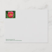 PINK PEONY/DENKING VAN U BRIEFKAART (Achterkant)