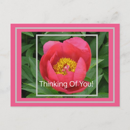 PINK PEONY/DENKING VAN U BRIEFKAART (Voorkant)