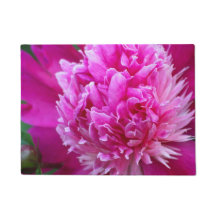 Pink Peony