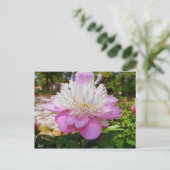 Pink Peony Easter Briefkaart (Staand voorkant)