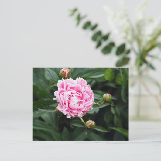  Pink Peony Floral Foto Briefkaart (Staand voorkant)