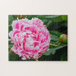  Pink Peony Floral Foto Legpuzzel