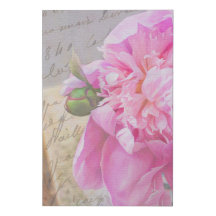 Pink Peony  Floral French Script Fine Art