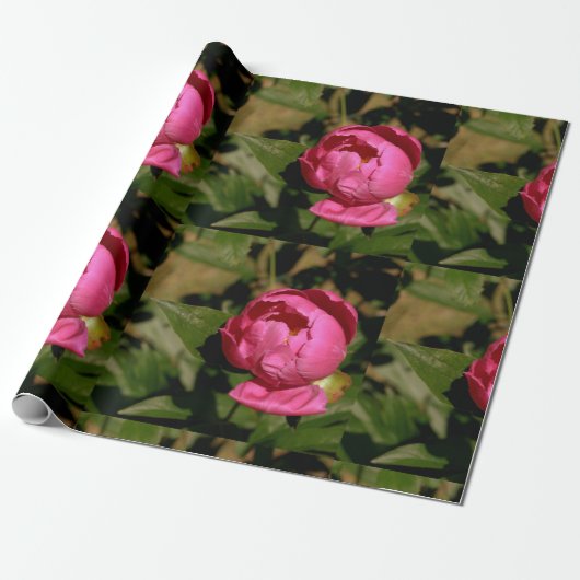 Pink Peony Floral wrapping Paper Cadeaupapier (Uitgerold)