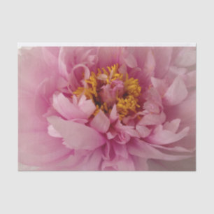 Pink Peony Flower Blossom Photo Decoupage Tissuepapier