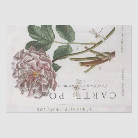 Pink Peony Flower Botanical French Dragonfly Craft Tissuepapier (Voorkant)