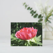 Pink Peony Flower Briefkaart (Staand voorkant)