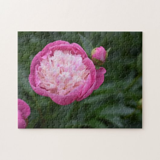 Pink Peony Flower Natuur Legpuzzel (Horizontaal)