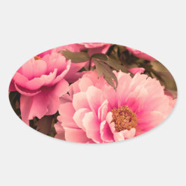 Pink  Peony Flower Ovale Sticker