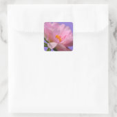 Pink Peony Flower Sticker (Tas)