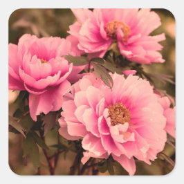 Pink  Peony Flower Vierkante Sticker
