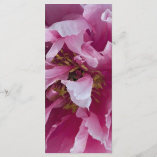 Pink Peony Flower Wedding Programme Programmakaart (Achterkant)