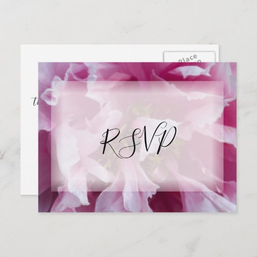 Pink Peony Flower Wedding RSVP Respons Uitnodiging Briefkaart (Voorkant / Achterkant)