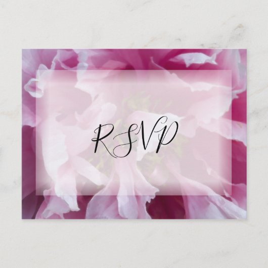 Pink Peony Flower Wedding RSVP Respons Uitnodiging Briefkaart (Voorkant)