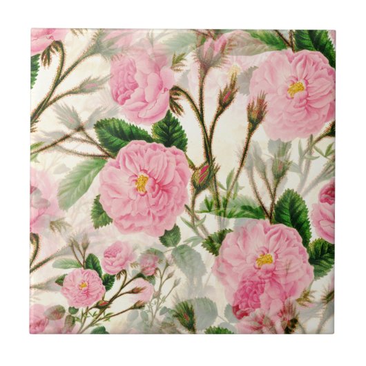 Pink Peony Flowers, Leaves & Buds Pattern Tegeltje (Voorkant)